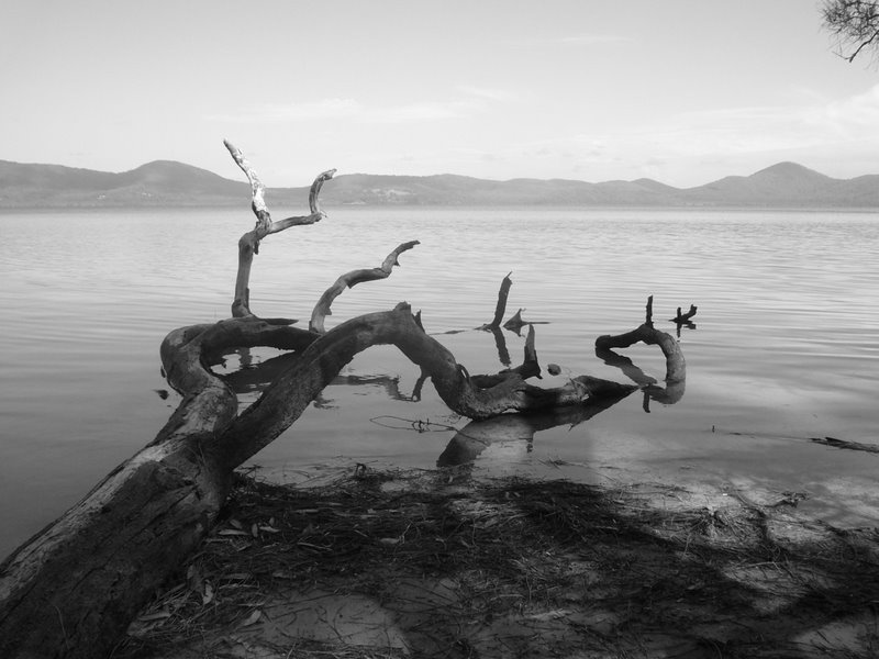 The Lake near Forster